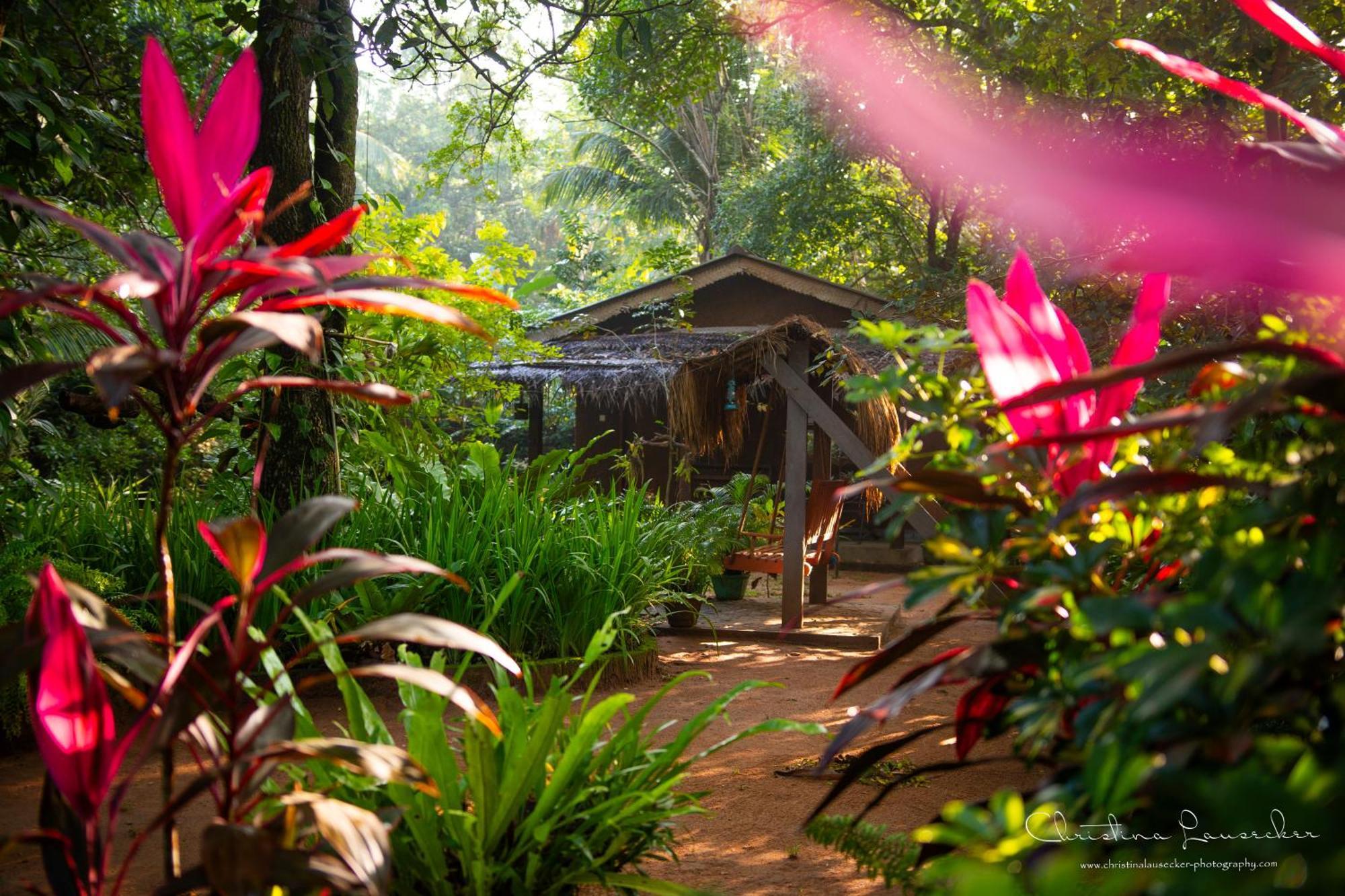 Green Paradise Cottage Udawalawa 우다왈라웨 외부 사진