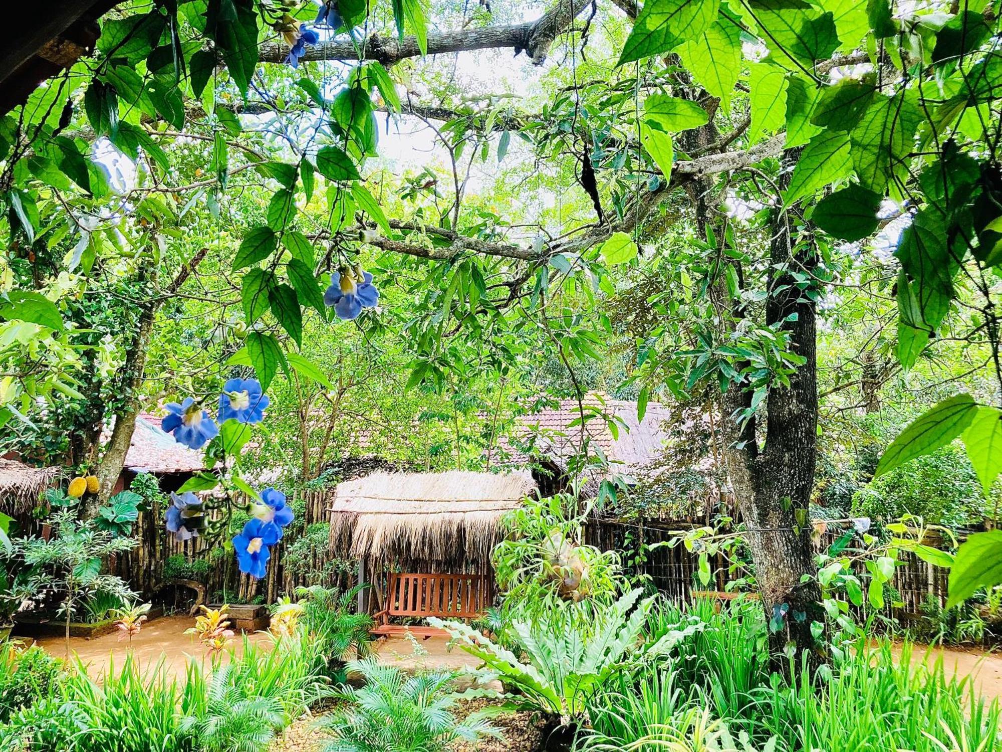 Green Paradise Cottage Udawalawa 우다왈라웨 외부 사진