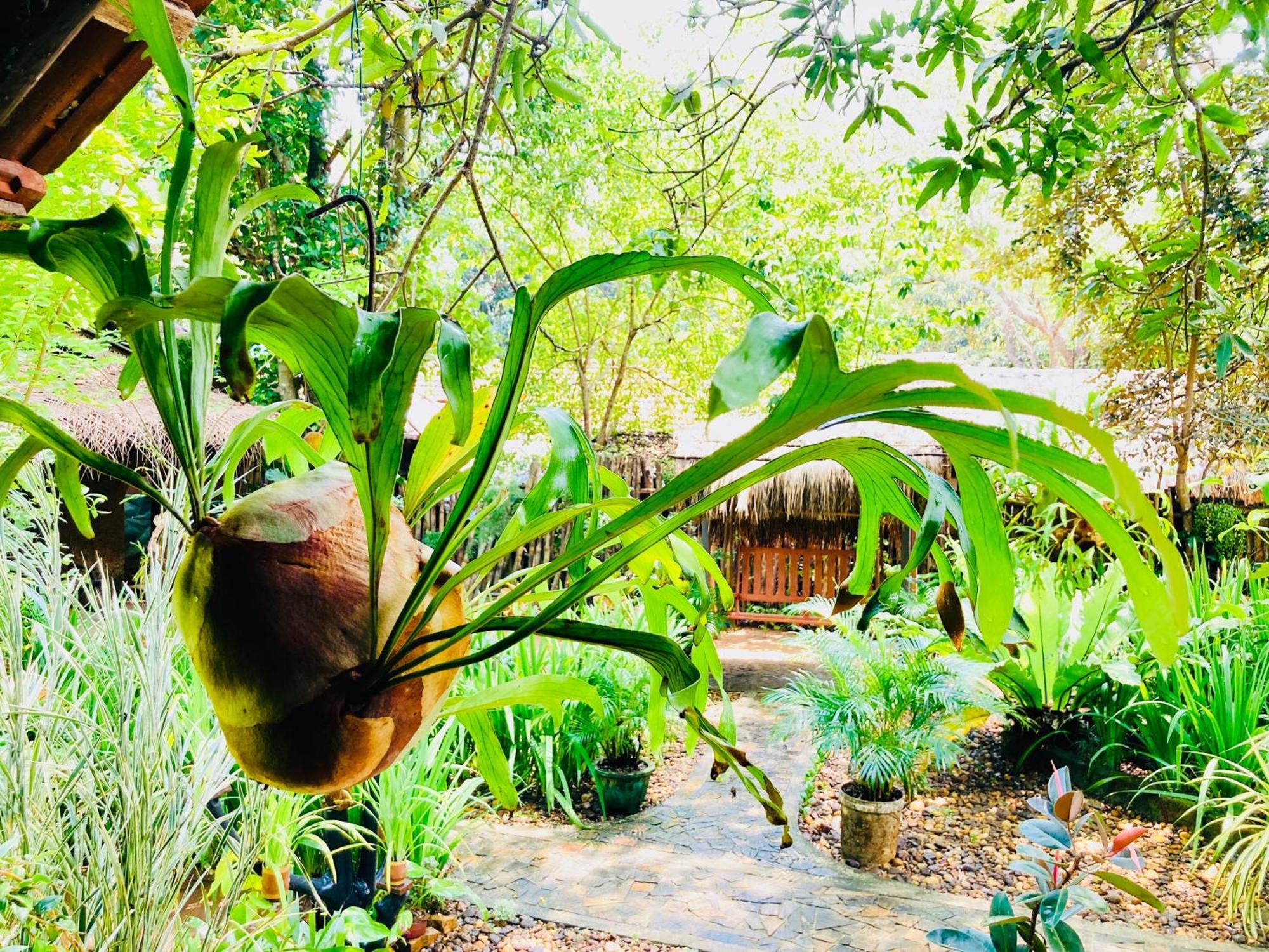 Green Paradise Cottage Udawalawa 우다왈라웨 외부 사진