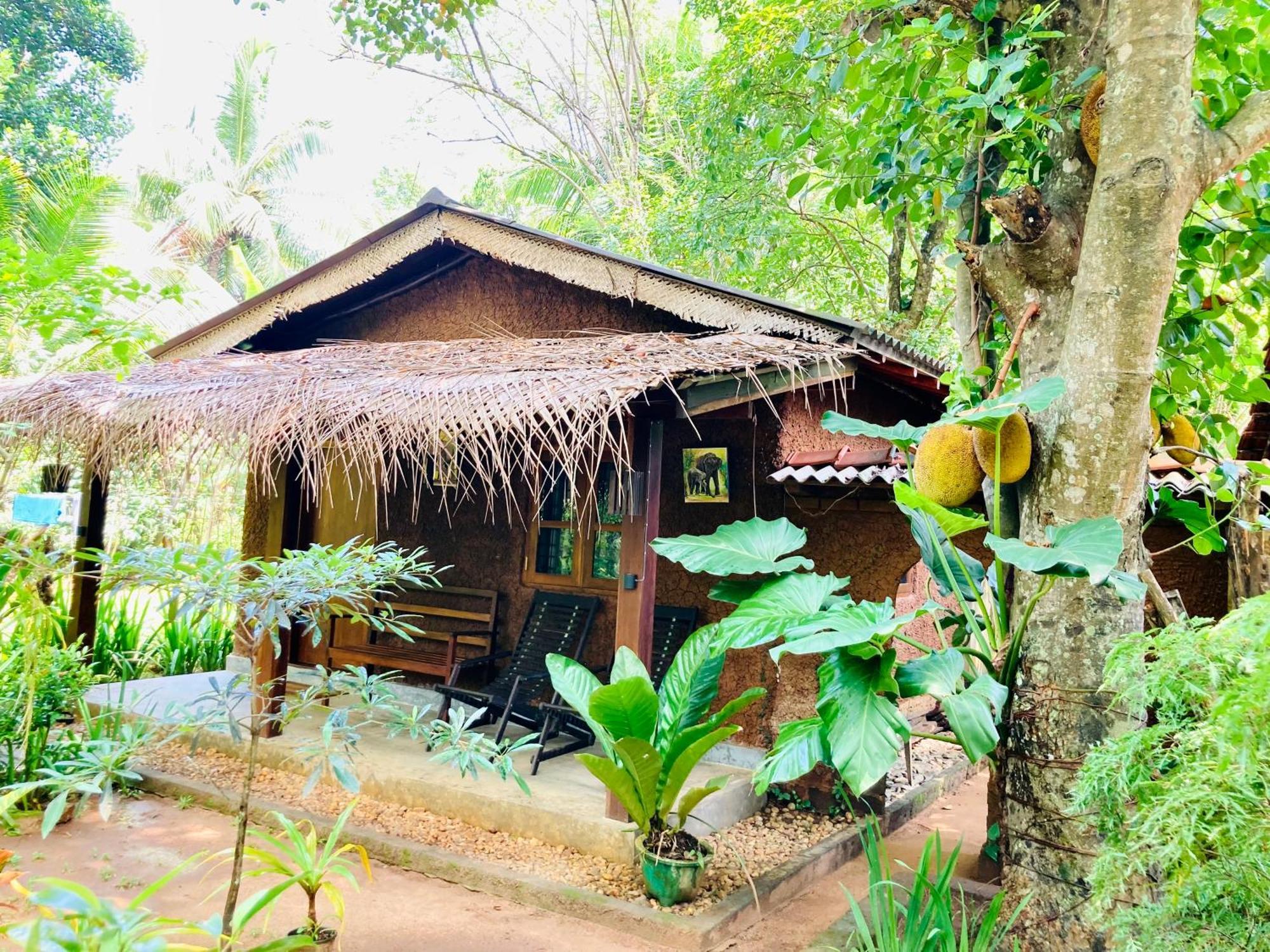 Green Paradise Cottage Udawalawa 우다왈라웨 외부 사진